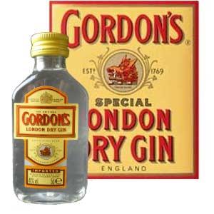 MINI Gin Gordons 0,05l 37,5% pet