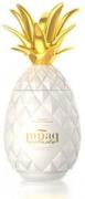 MINI Pinaq Colada 0,05l 17%