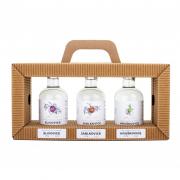 Anton Kaapl Dárkový Rámeček 3x 0,2l 47% 