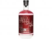Rammstein Gin Pink 2 Edice 0,7l 38% 